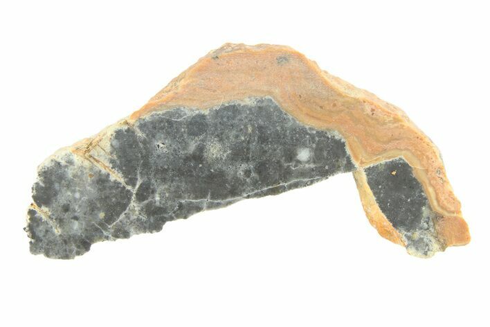 Lunar Meteorite ( g) Slice - Bechar #291698